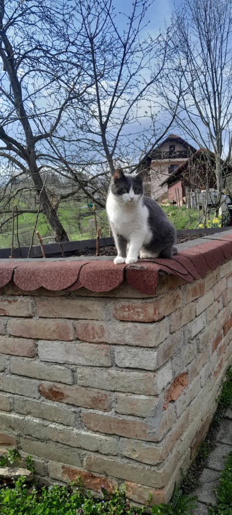 image000000